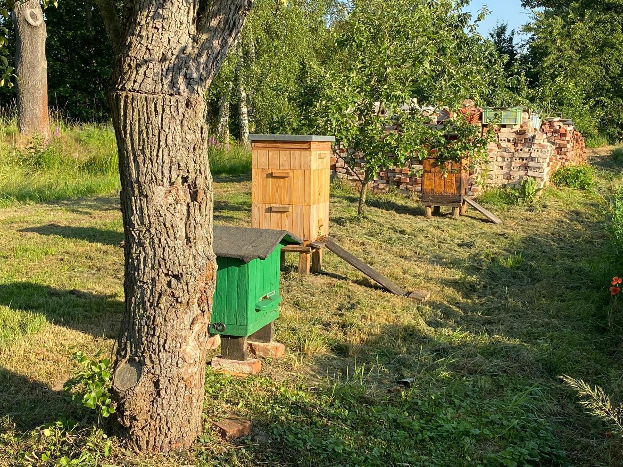 Agroturystyka Borow Prusice Esterno foto