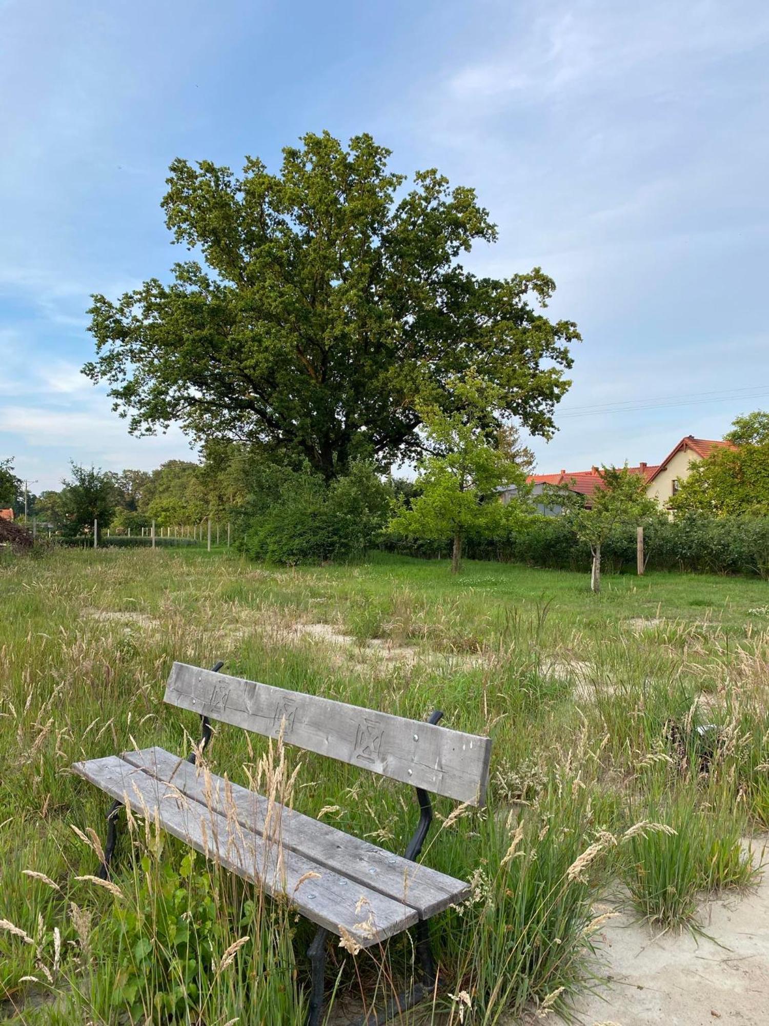 Agroturystyka Borow Prusice Esterno foto